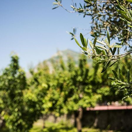 Casa Vacanza Dal Cavaliere Montesarchio Luaran gambar