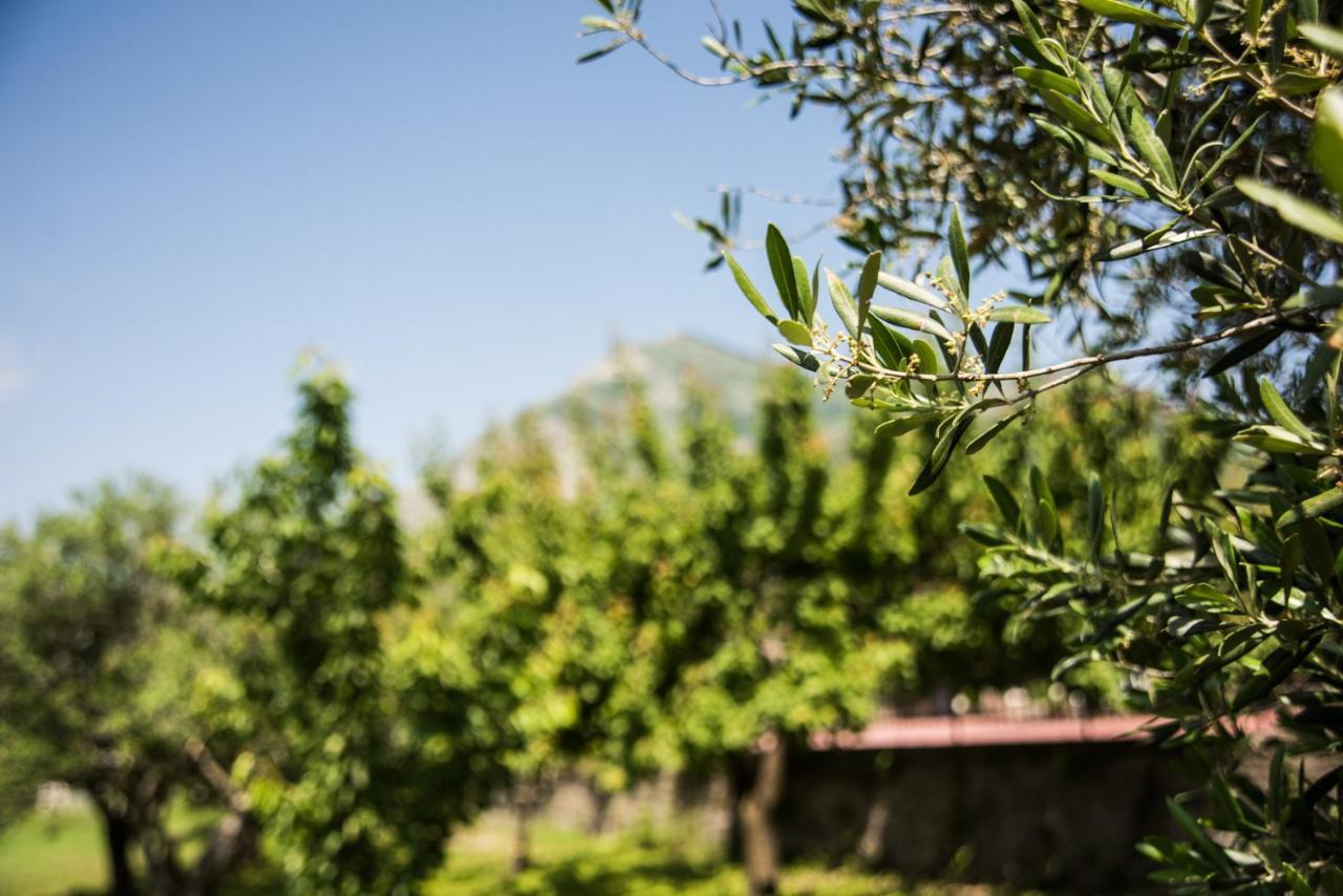 Casa Vacanza Dal Cavaliere Montesarchio Luaran gambar
